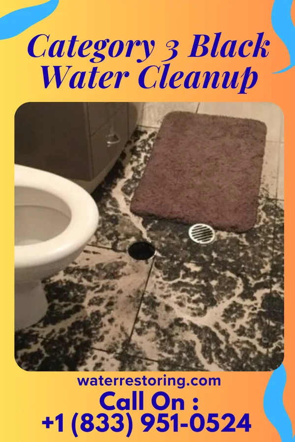 Category 3 Black Water Cleanup in Leetonia, OH