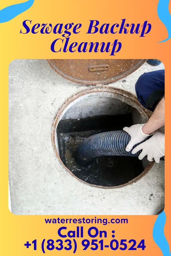 Sewage Backup Cleanup in Leetonia, OH