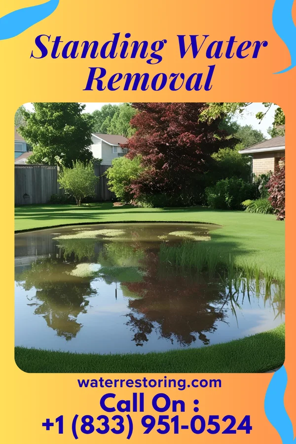 Standing Water Removal in Leetonia, OH